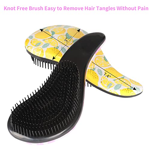 3pcs Detangler Brush Tangle Free